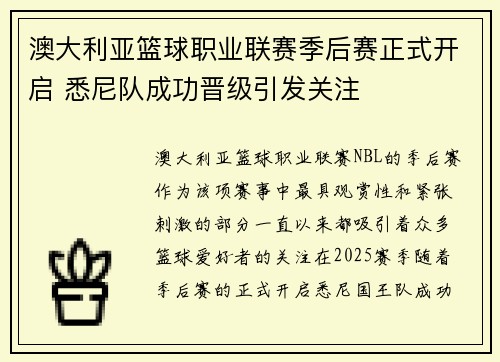 澳大利亚篮球职业联赛季后赛正式开启 悉尼队成功晋级引发关注